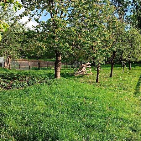 Casa De Vacanta Alina Prundul Birgaului ภายนอก รูปภาพ