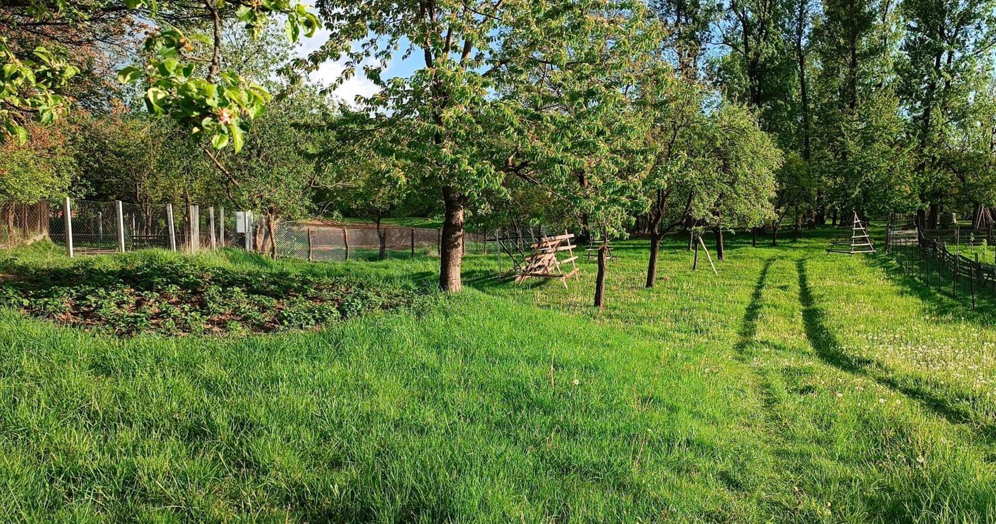 Casa De Vacanta Alina Prundul Birgaului ภายนอก รูปภาพ