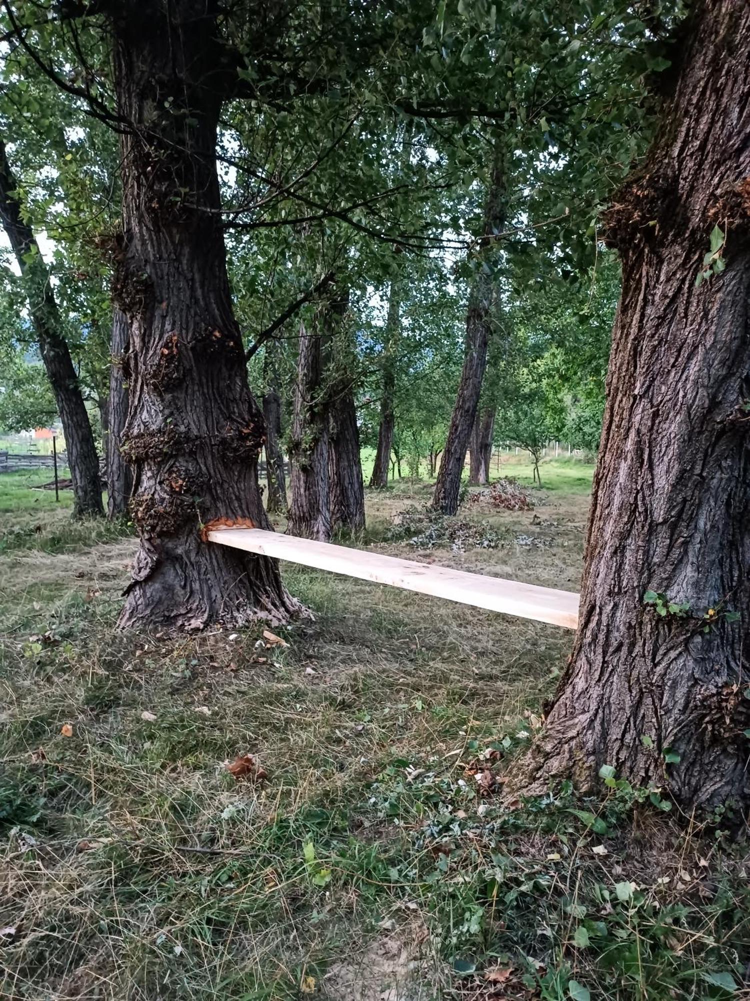 Casa De Vacanta Alina Prundul Birgaului ภายนอก รูปภาพ